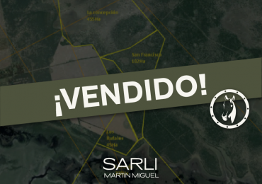 VENDIDO | CAMPO RINCON DE GUALEGUAY 871 Ha!!!