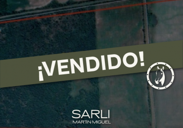 VENDIDO | CAMPO MIXTO 89 Ha - VIALE