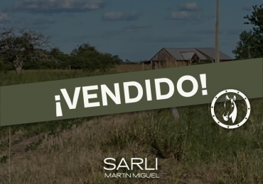 VENDIDO | CAMPO MIXTO  317 Ha