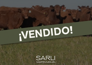 VENDO EXCELENTE CAMPO GANADERO