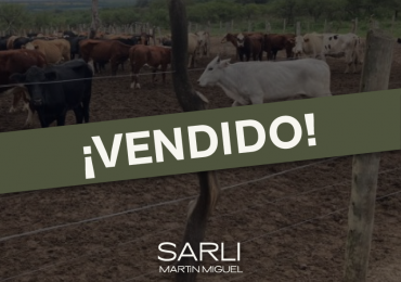 VENDO CAMPO GANADERO EN ORO VERDE