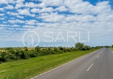 VENDO 16 HAS SOBRE ASFALTO - DIAMANTE