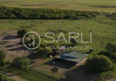 VENDO CAMPO GANADERO 